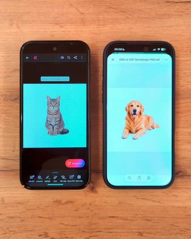 Anomalia del renderer Apple e PDF di Schrodinger con cane e gatto contemporaneamente nello stesso file